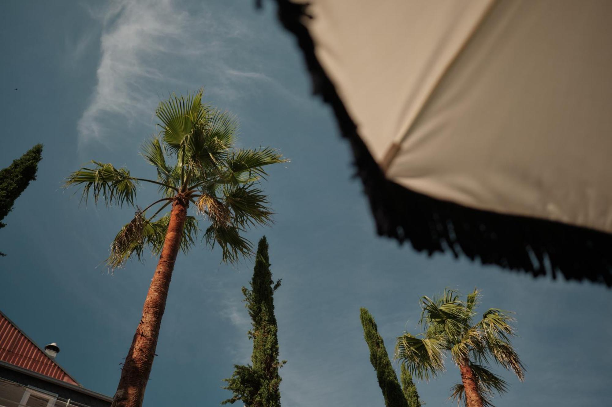 פורטו Ga Palace Hotel & Spa, A Xixth-Century Villa מראה חיצוני תמונה Palm trees in the city